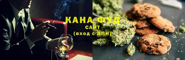 сатива Бородино