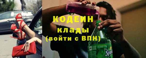 сатива Бородино