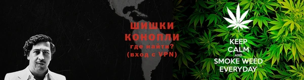 сатива Бородино