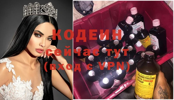 индика Гусиноозёрск