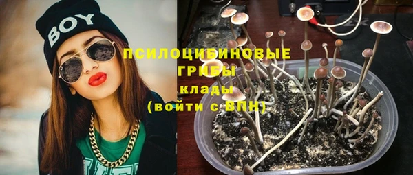 спиды Белокуриха