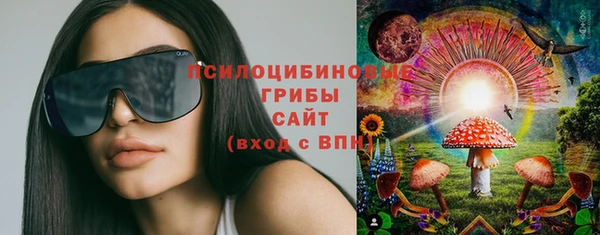 метадон Богородицк